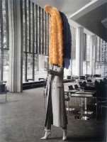 https://www.studiodaubal.com:443/files/gimgs/th-44_churros web.jpg